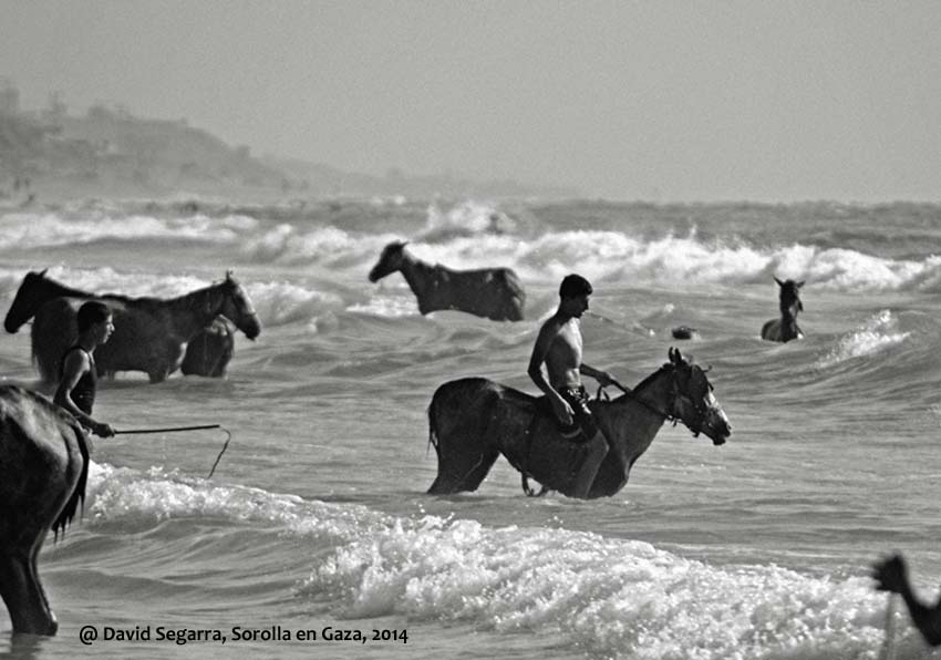 event image:Photograph of horses on the beach